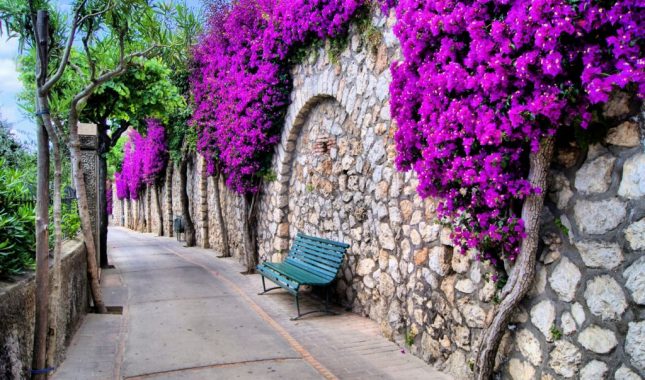 Prelijepa priča o Hasanu i Merimi: U plamenu kušnje