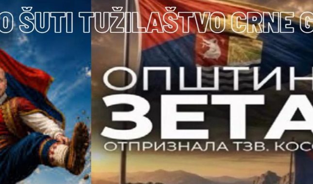 „OTPRIZNAVANJE” KAO PRAVNO NASILJE