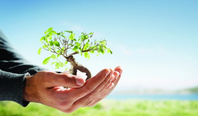 Velikodušnost je plemenita osobina, a Allah voli one koji je posjeduju