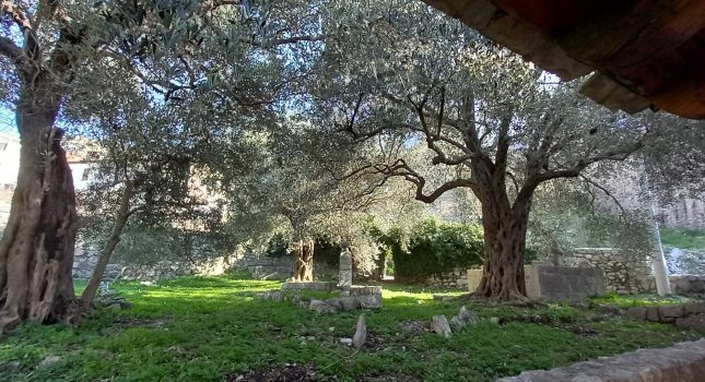 STARI BAR NA RAZMEĐAMA VJEKOVA (I dio) Piše: Božidar PROROČIĆ, književnik i publicista