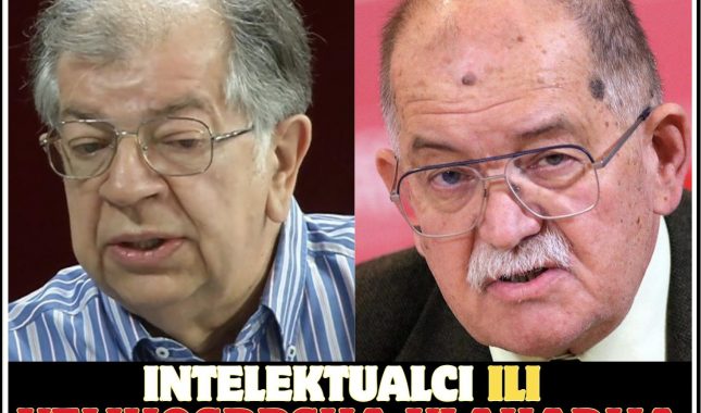 NENAD I DARKO: INTELEKTUALCI ILI VELIKOSRPSKA VLAHADIJA?