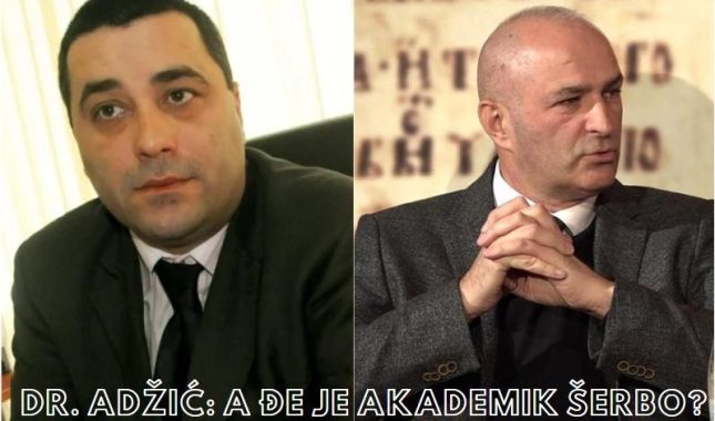 CRNOGORSKI ISTORIČARI O GORSKOM VIJENCU