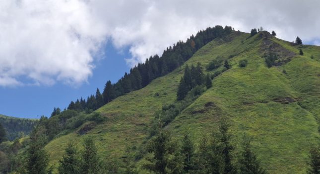 NA KATUNU MASLA PEJČINOVIĆA, ĐE MIRIŠU BOROVNICE I PROKLETIJE