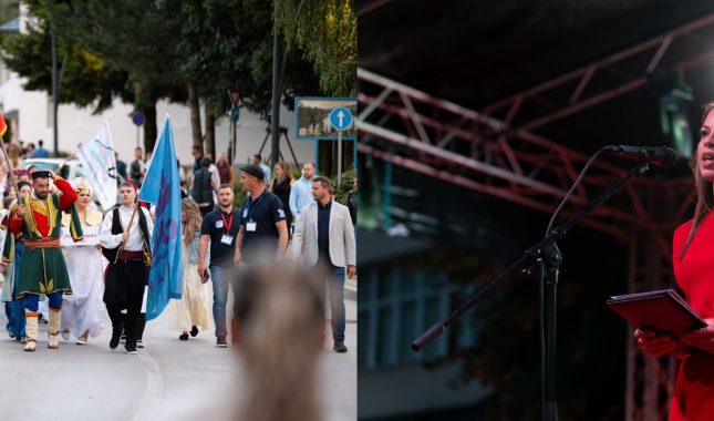 JEDANAEST DANA „DANA BOROVNICE“ KADA MANIFESTACIJA PRERASTE U PRIČU O PLAVU