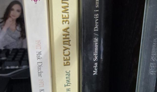 IZMEĐU TUĐEG I NAŠEG GNIJEZDA