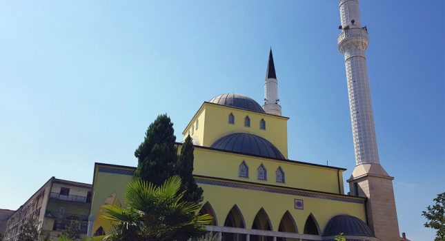 Podijeljeno 2,800 knjiga vjernicima i vjernicama u Skadru-Džamija Paruc