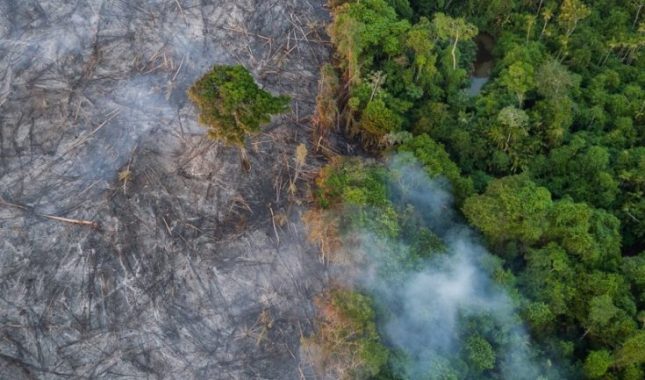 Mit o Amazoni kao plućima Zemlje: Većinu kisika koji udišemo ne proizvode šume