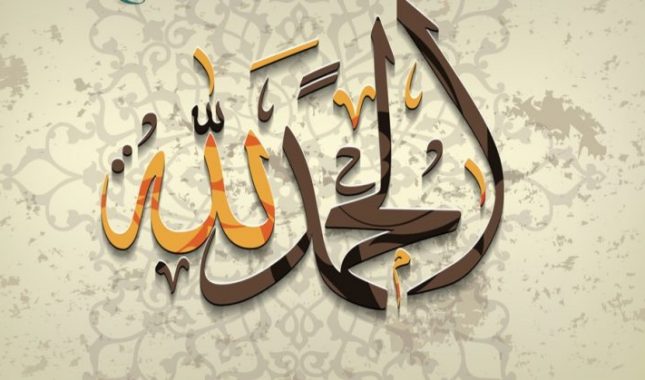 Doktor mi je jednom u životu uklonio bol i neizmjerno sam mu zahvalan, a koliko puta je Allah otklonio od mene nevolje, a nisam Mu zahvalan