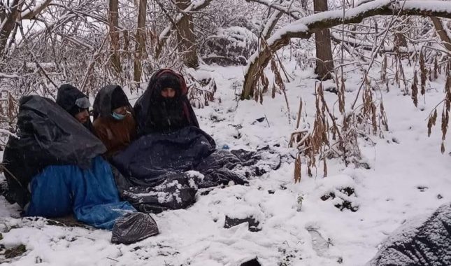 Šta bi uradio Muhamed alejhiselam da vidi prognane, promrzle, siromašne i obespravljene pripadnike svoga ummeta danas?