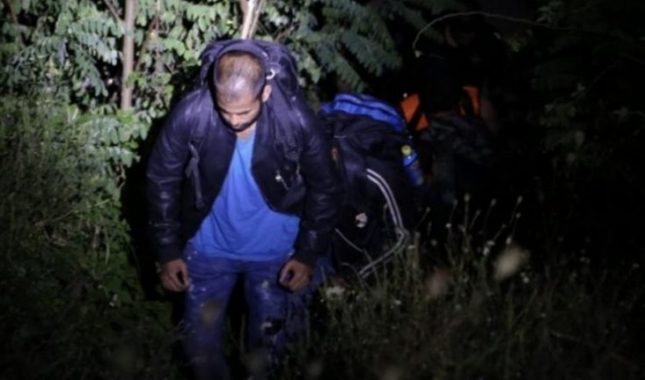 Vijeće Evrope: Hrvatski policajci vezane migrante bacali u rijeku