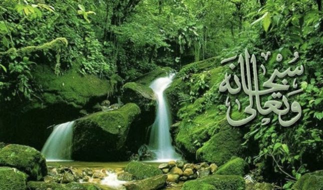 Iskrenost spašava čovjeka, makar se činilo da je suprotno