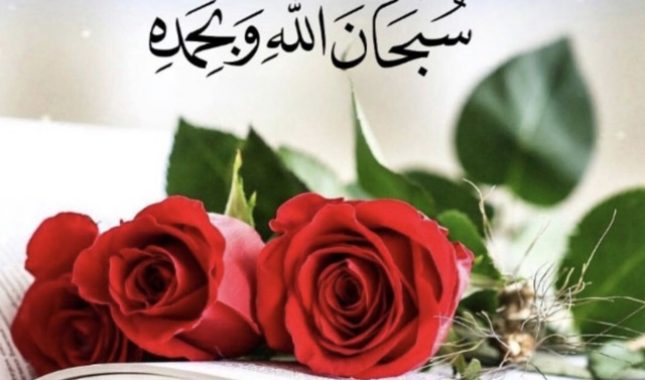 Znali smo, ali nismo radili