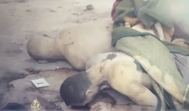 Uznemirujući snimci: Kako su izralski vojnici pogubili 19 civila (VIDEO)