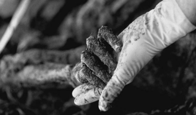 Srbijanski novinar: Rodno mjesto genocida u Srebrenici je Beograd