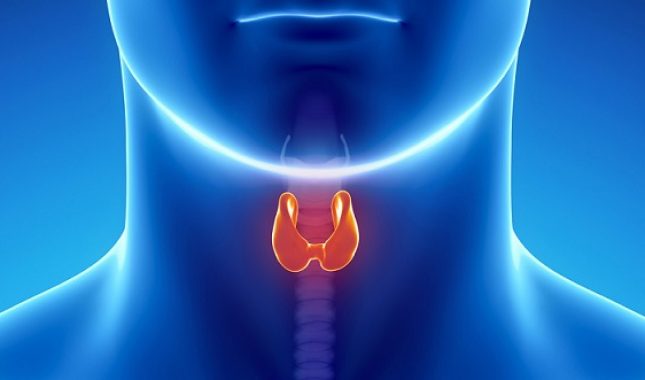 Štitnjača: Mala žlijezda koja može uzrokovati velike probleme