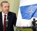 Erdogan: NATO je dao teroristima oružje, a nama neće ni da ga proda