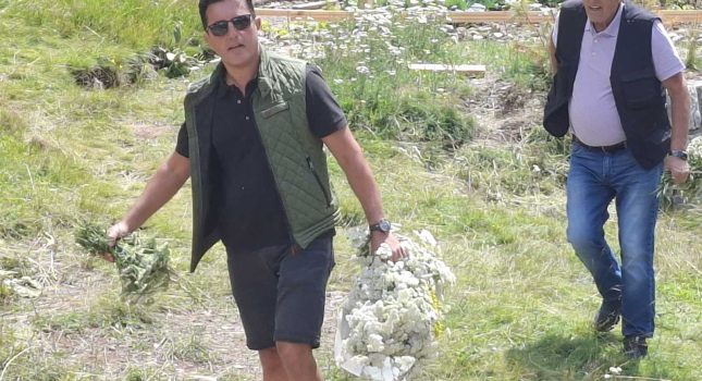 NA KATUNU MASLA PEJČINOVIĆA, ĐE MIRIŠU BOROVNICE I PROKLETIJE