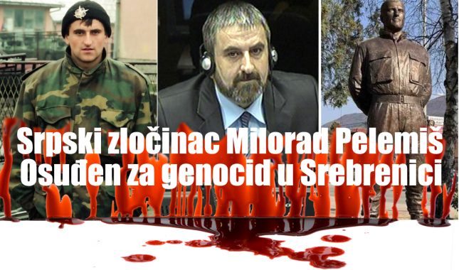 DF: SPOMENIK PELEMIŠU VRIJEĐA ŽRTVE GENOCIDA U SREBRENICI I SVIH ZLOČINA U ISTOČNOJ BOSNI