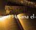 4 ZLATNA SAVJETA HASANA EL-BASRIJA, R.A.