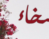 Za čovjeka se ne može reći da je pobožan ukoliko ga njegov ibadet nije odgojio u plemenita čovjeka