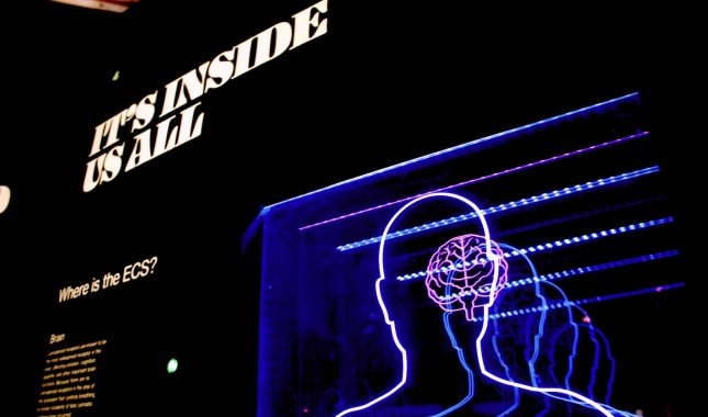 Propis studiranja psihologije i prava