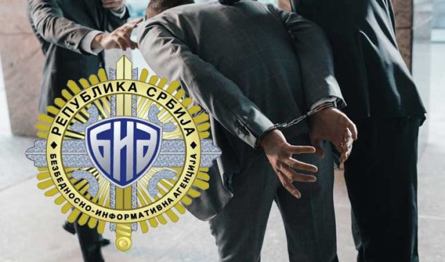 U akciji BIA uhapšena grupa koja je ostavljala svinjske glave ispred džamija u Berlinu i Parizu