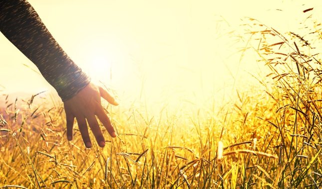 Heroji odavno ne nose ogrtače