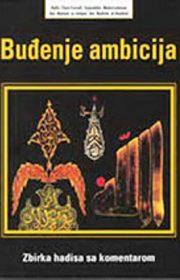 Buđenje ambicija