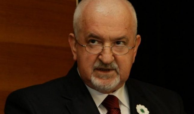 Mapa velikosrpskog mozga: Prof. Jevtić – “Neki Srbi će se ljutiti što su obnovljene one lijepe džamije u Višegradu”