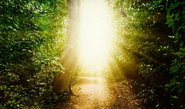 Šta bismo uradili kad bi nam Muhammed, s.a.v.s., došao u goste?