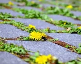 Vjernički pogled na sudbinu