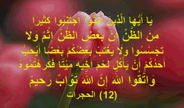 Većina društvenih bolesti je uzrokovana okruženjem koje je zaraženo zavidnošću i mržnjom