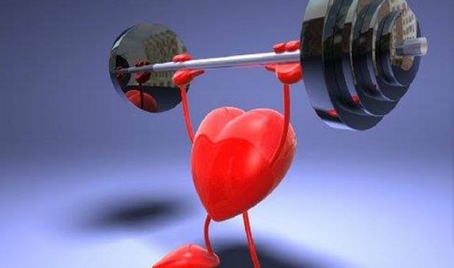 Čuda Allahovog stvaranja: Zašto se srce ne umara kao ostali mišići?