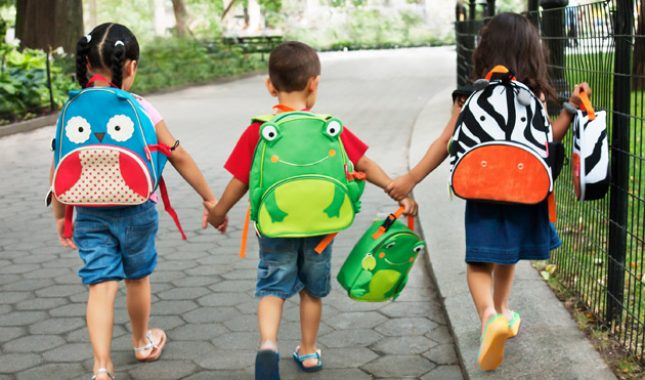 Škola je vrh, bez škole je dno. Stremiti vrhu, ne kaljužati se na dnu.