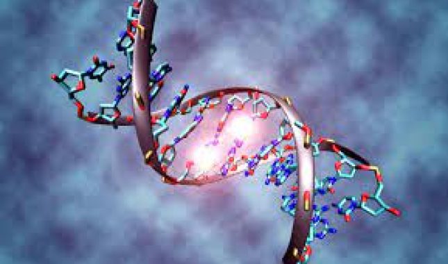 Post i aktivacija genskih puteva