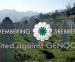 ADVOKAT ČEDOMIR STOJKOVIĆ O GENOCIDU U SREBRENICI