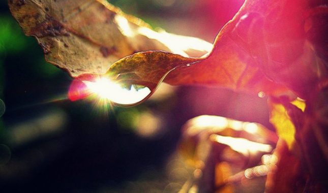 Zanimaju me opširniji propisi u vezi zaruka?