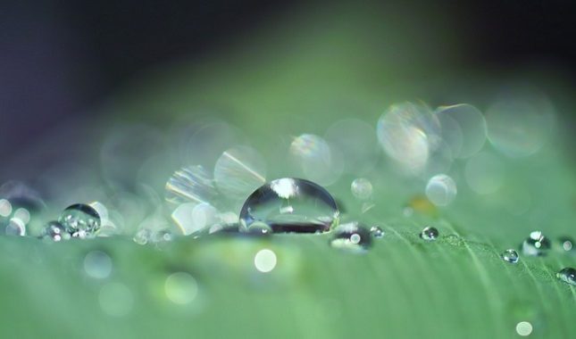 Od instruktorice fitnesa do Islama