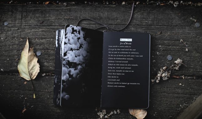 Tebi, Gospodaru moj, upućujem svoje želje…