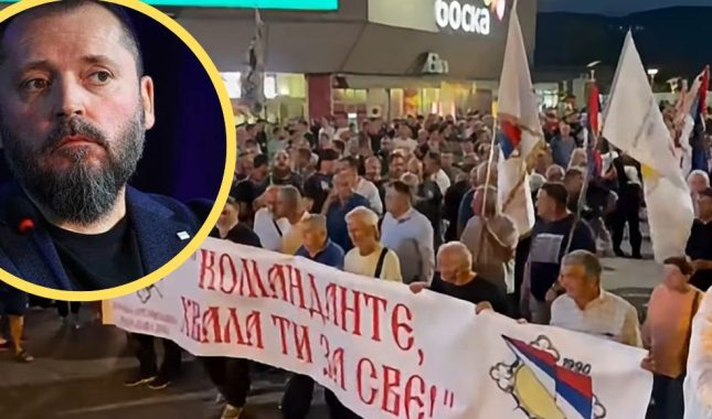 Bursać: Svi su oni Ratko Mladić!