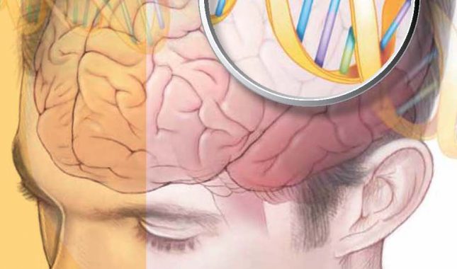 Kur'anski fenomeni: Gdje je centar za laž i pogrešku u mozgu?