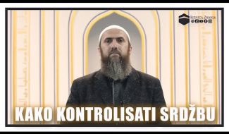 Nedžad ef. Hasanović – Kako kontrolisati srdžbu / VIDEO