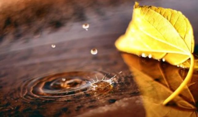 Borba sa strastima…