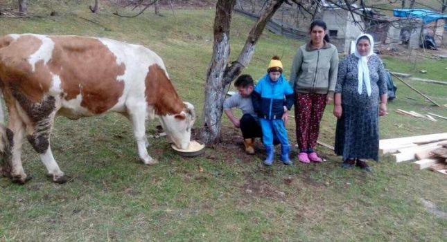 Dugogodišnja saradnja IKC Podgorica  UG ‘SVJETLO’ iz BIH