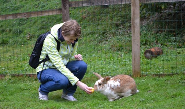 Koju nagradu mogu očekivati oni koji napoje ljude i životinje?