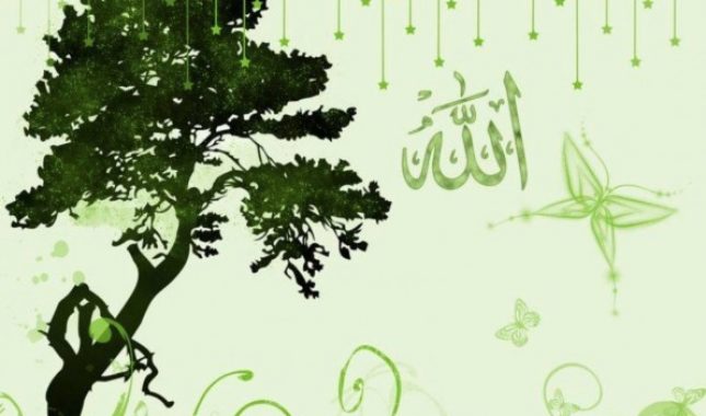 Život trošimo u zarađivanju imetka, a 70% od toga koriste drugi, a ne mi