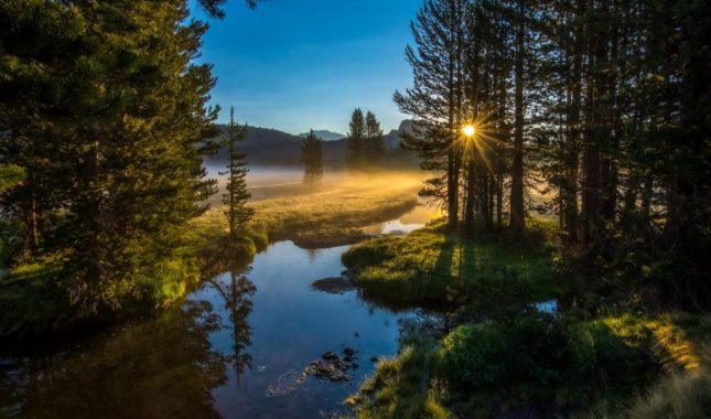 Sabahski bereket i težina muslimanskog nemara