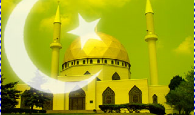 Politička prava u islamu: Pravo glasa za izbor vlasti