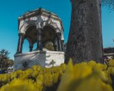 Pet pitanja i odgovora