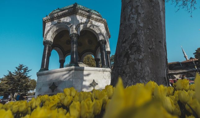 Pet pitanja i odgovora